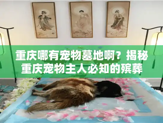 重庆哪有宠物墓地啊？揭秘重庆宠物主人必知的殡葬服务避坑技巧