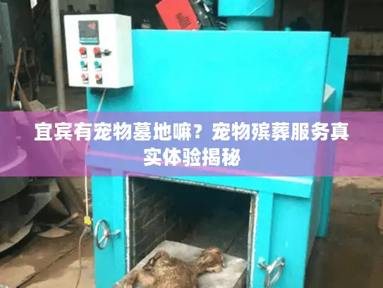 宜宾有宠物墓地嘛？宠物殡葬服务真实体验揭秘