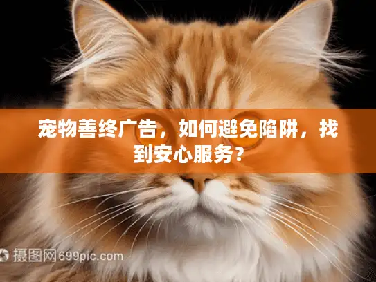 宠物善终广告,如何避免陷阱,找到安心服务? 宠物善终广告,如何避免陷阱,找到安心服务?
