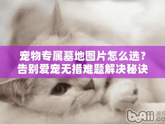 宠物专属墓地图片怎么选？告别爱宠无措难题解决秘诀