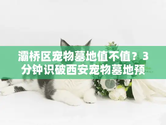 灞桥区宠物墓地值不值？3分钟识破西安宠物墓地预算陷阱