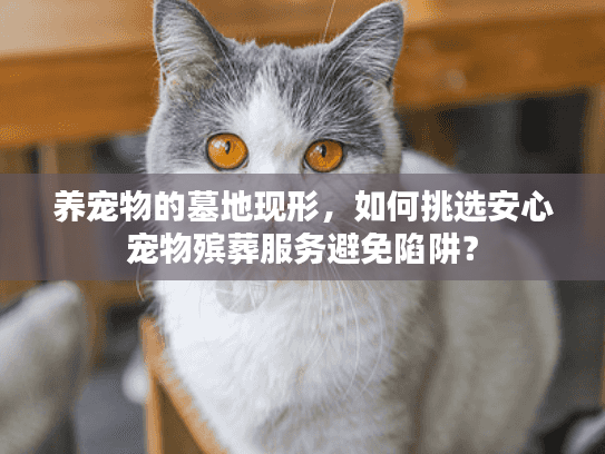 养宠物的墓地现形，如何挑选安心宠物殡葬服务避免陷阱？