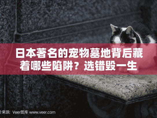 日本著名的宠物墓地背后藏着哪些陷阱？选错毁一生慰藉的避坑指南