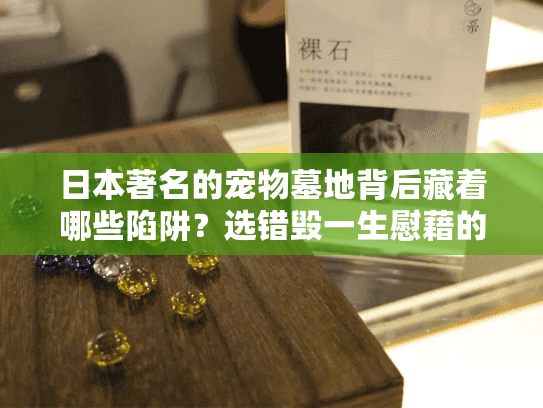 日本著名的宠物墓地背后藏着哪些陷阱？选错毁一生慰藉的避坑指南