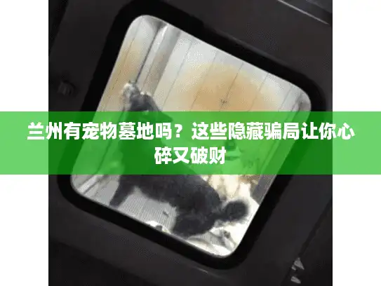 兰州有宠物墓地吗？这些隐藏骗局让你心碎又破财