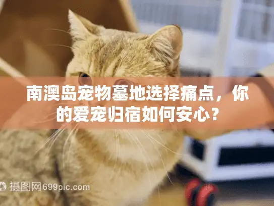 南澳岛宠物墓地选择痛点,你的爱宠归宿如何安心? 南澳岛宠物墓地选择痛点,你的爱宠归宿如何安心?