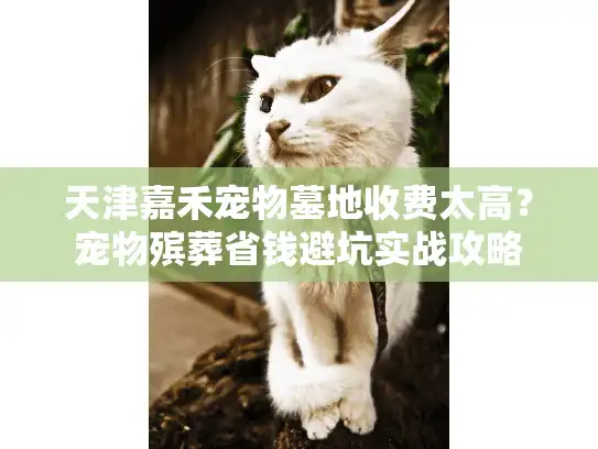 天津嘉禾宠物墓地收费太高？宠物殡葬省钱避坑实战攻略