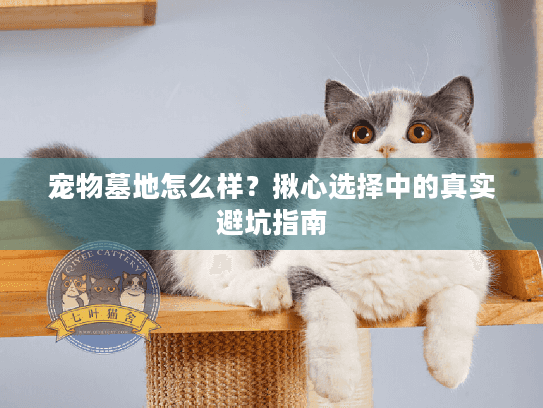 宠物墓地怎么样?揪心选择中的真实避坑指南 宠物墓地怎么样?揪心选择中的真实避坑指南