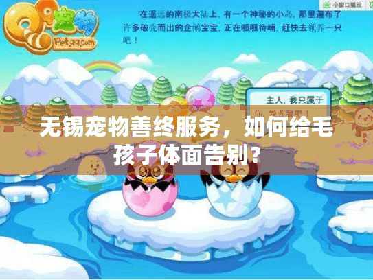 无锡宠物善终服务，如何给毛孩子体面告别？