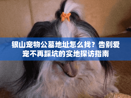 银山宠物公墓地址怎么找？告别爱宠不再踩坑的实地探访指南