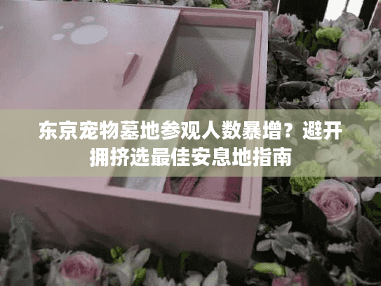 东京宠物墓地参观人数暴增?避开拥挤选最佳安息地指南 东京宠物墓地参观人数暴增?避开拥挤选最佳安息地指南