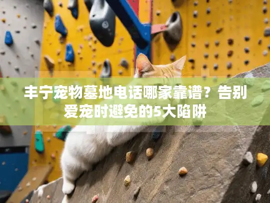 丰宁宠物墓地电话哪家靠谱?告别爱宠时避免的5大陷阱 丰宁宠物墓地电话哪家靠谱?告别爱宠时避免的5大陷阱