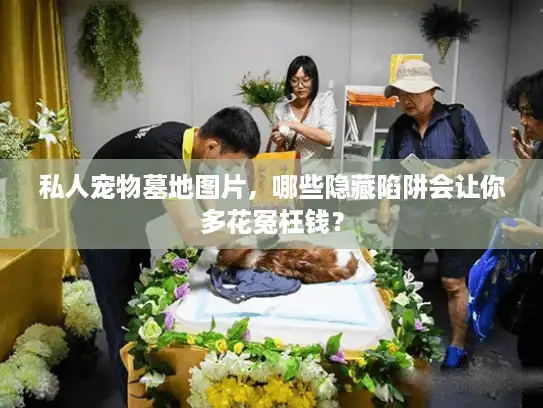 私人宠物墓地图片,哪些隐藏陷阱会让你多花冤枉钱? 私人宠物墓地图片,哪些隐藏陷阱会让你多花冤枉钱?