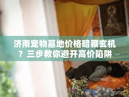 济南宠物墓地价格暗藏玄机？三步教你避开高价陷阱