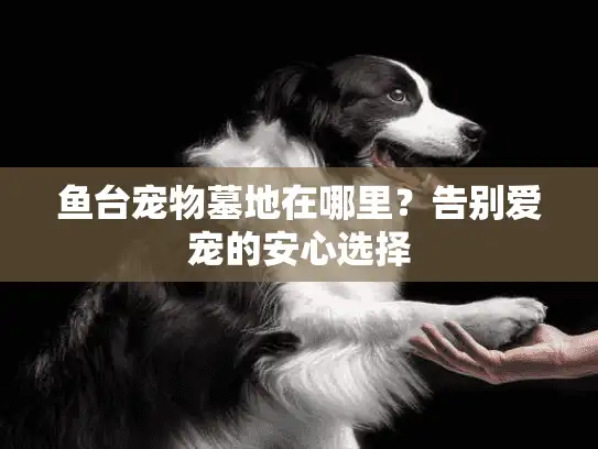 鱼台宠物墓地在哪里？告别爱宠的安心选择