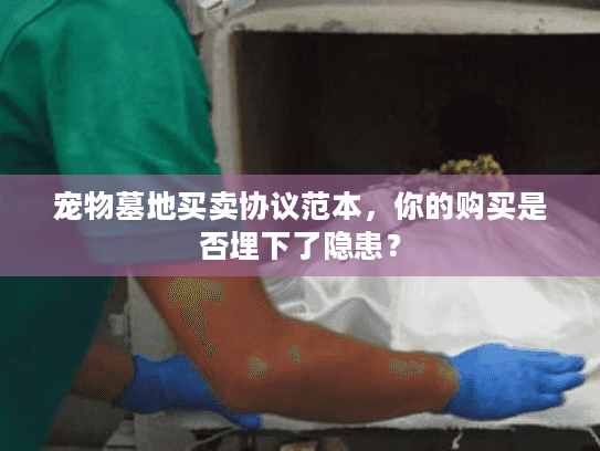 宠物墓地买卖协议范本，你的购买是否埋下了隐患？