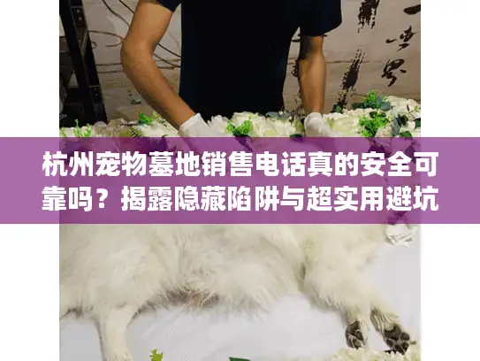 杭州宠物墓地销售电话真的安全可靠吗？揭露隐藏陷阱与超实用避坑攻略