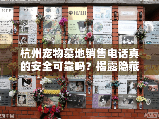 杭州宠物墓地销售电话真的安全可靠吗？揭露隐藏陷阱与超实用避坑攻略