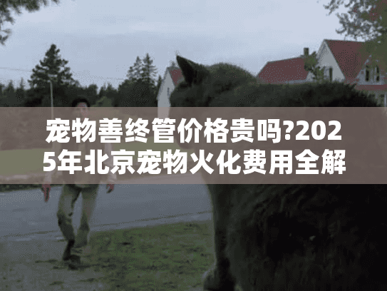 宠物善终管价格贵吗?2025年北京宠物火化费用全解析