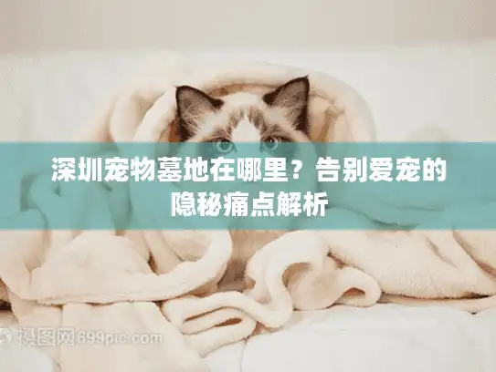 深圳宠物墓地在哪里？告别爱宠的隐秘痛点解析