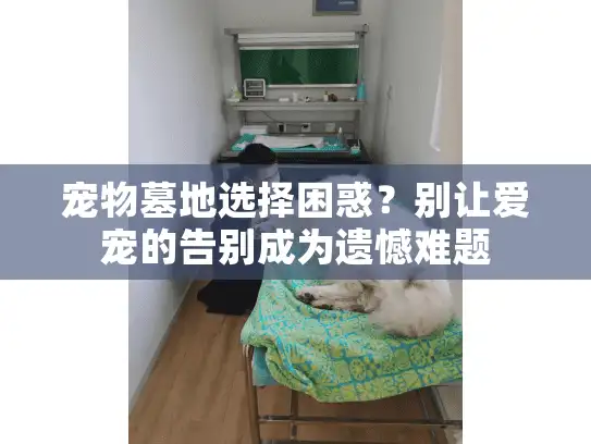 宠物墓地选择困惑?别让爱宠的告别成为遗憾难题 宠物墓地选择困惑?别让爱宠的告别成为遗憾难题
