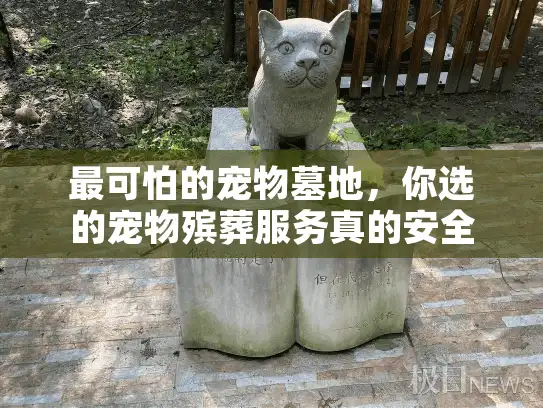 最可怕的宠物墓地，你选的宠物殡葬服务真的安全可靠吗？