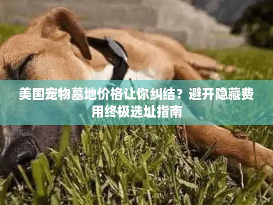 美国宠物墓地价格让你纠结？避开隐藏费用终极选址指南