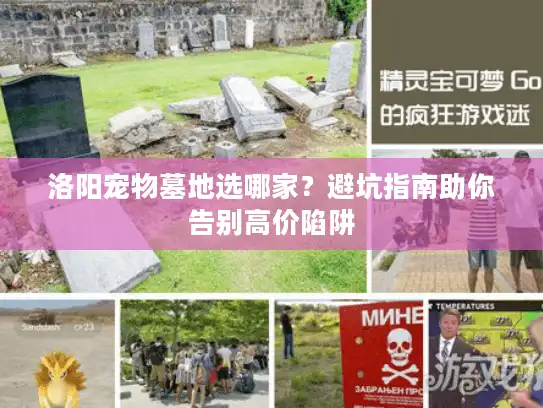 洛阳宠物墓地选哪家？避坑指南助你告别高价陷阱