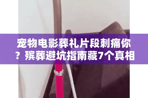 宠物电影葬礼片段刺痛你?殡葬避坑指南藏7个真相 宠物电影葬礼片段刺痛你?殡葬避坑指南藏7个真相