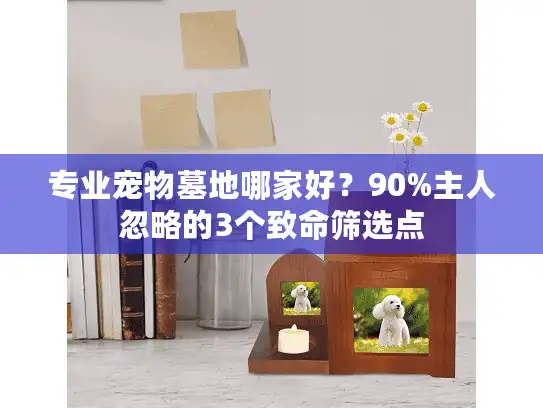 专业宠物墓地哪家好？90%主人忽略的3个致命筛选点