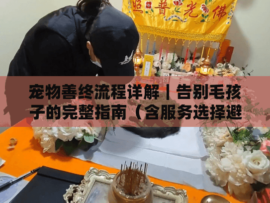 宠物善终流程详解｜告别毛孩子的完整指南（含服务选择避坑要点）