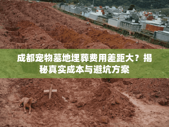成都宠物墓地埋葬费用差距大？揭秘真实成本与避坑方案