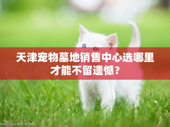 天津宠物墓地销售中心选哪里才能不留遗憾？