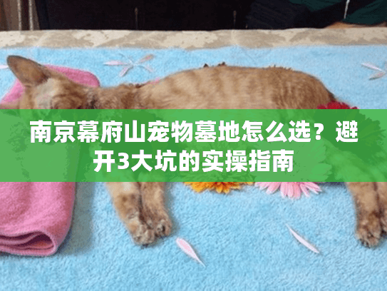 南京幕府山宠物墓地怎么选?避开3大坑的实操指南 南京幕府山宠物墓地怎么选?避开3大坑的实操指南