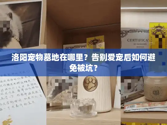 洛阳宠物墓地在哪里?告别爱宠后如何避免被坑? 洛阳宠物墓地在哪里?告别爱宠后如何避免被坑?