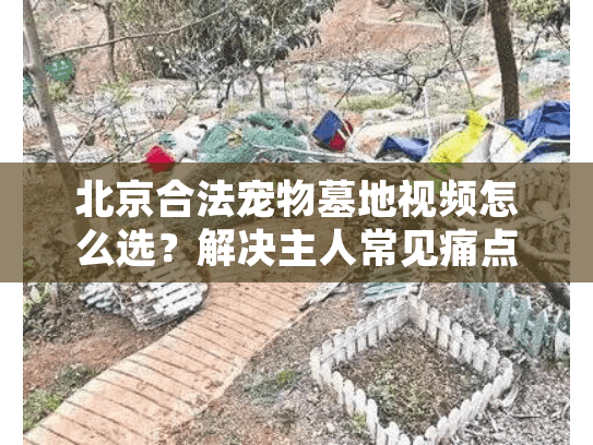 北京合法宠物墓地视频怎么选?解决主人常见痛点 北京合法宠物墓地视频怎么选?解决主人常见痛点