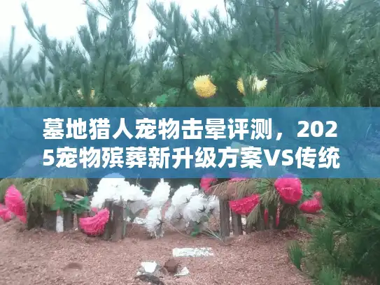 墓地猎人宠物击晕评测，2025宠物殡葬新升级方案VS传统服务