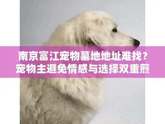 南京富江宠物墓地地址难找?宠物主避免情感与选择双重煎熬指南 南京富江宠物墓地地址难找?宠物主避免情感与选择双重煎熬指南