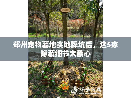 郑州宠物墓地实地踩坑后,这5家隐藏细节太戳心 郑州宠物墓地实地踩坑后,这5家隐藏细节太戳心