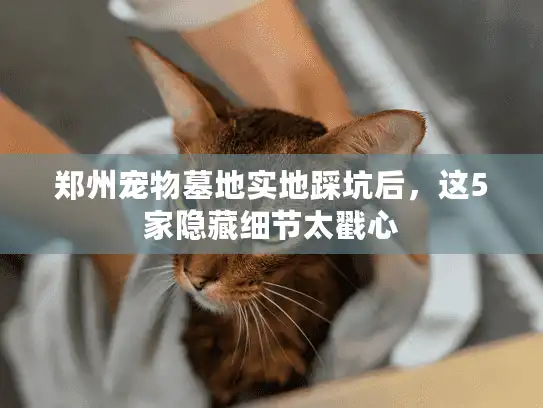 郑州宠物墓地实地踩坑后,这5家隐藏细节太戳心 郑州宠物墓地实地踩坑后,这5家隐藏细节太戳心