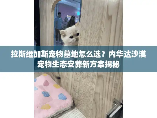 拉斯维加斯宠物墓地怎么选？内华达沙漠宠物生态安葬新方案揭秘