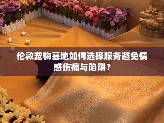 伦敦宠物墓地如何选择服务避免情感伤痛与陷阱？