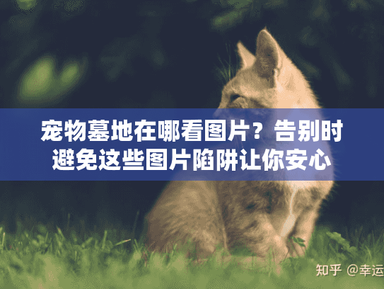 宠物墓地在哪看图片？告别时避免这些图片陷阱让你安心