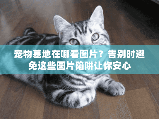 宠物墓地在哪看图片？告别时避免这些图片陷阱让你安心