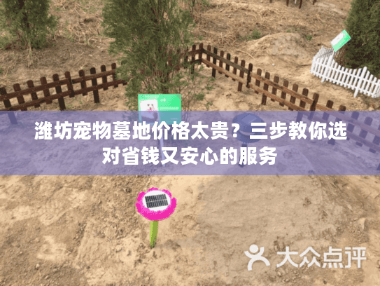 潍坊宠物墓地价格太贵？三步教你选对省钱又安心的服务