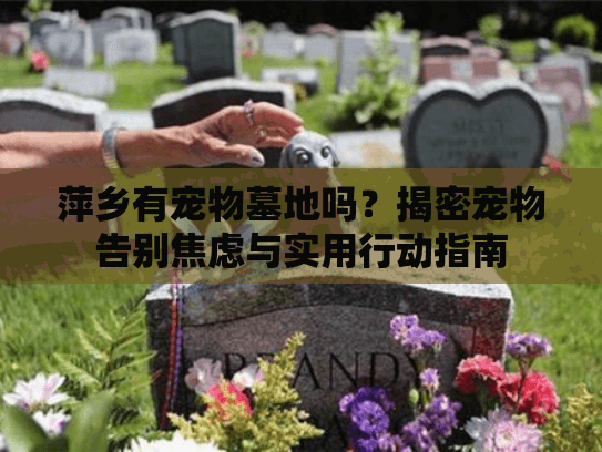 萍乡有宠物墓地吗?揭密宠物告别焦虑与实用行动指南 萍乡有宠物墓地吗?揭密宠物告别焦虑与实用行动指南