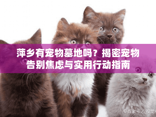 萍乡有宠物墓地吗?揭密宠物告别焦虑与实用行动指南 萍乡有宠物墓地吗?揭密宠物告别焦虑与实用行动指南