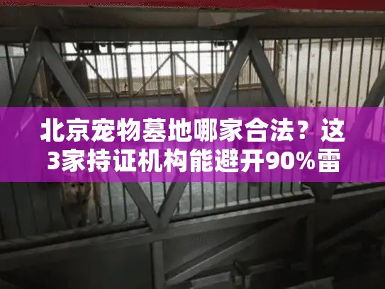 北京宠物墓地哪家合法？这3家持证机构能避开90%雷区