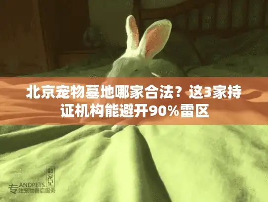 北京宠物墓地哪家合法？这3家持证机构能避开90%雷区