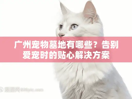 广州宠物墓地有哪些？告别爱宠时的贴心解决方案